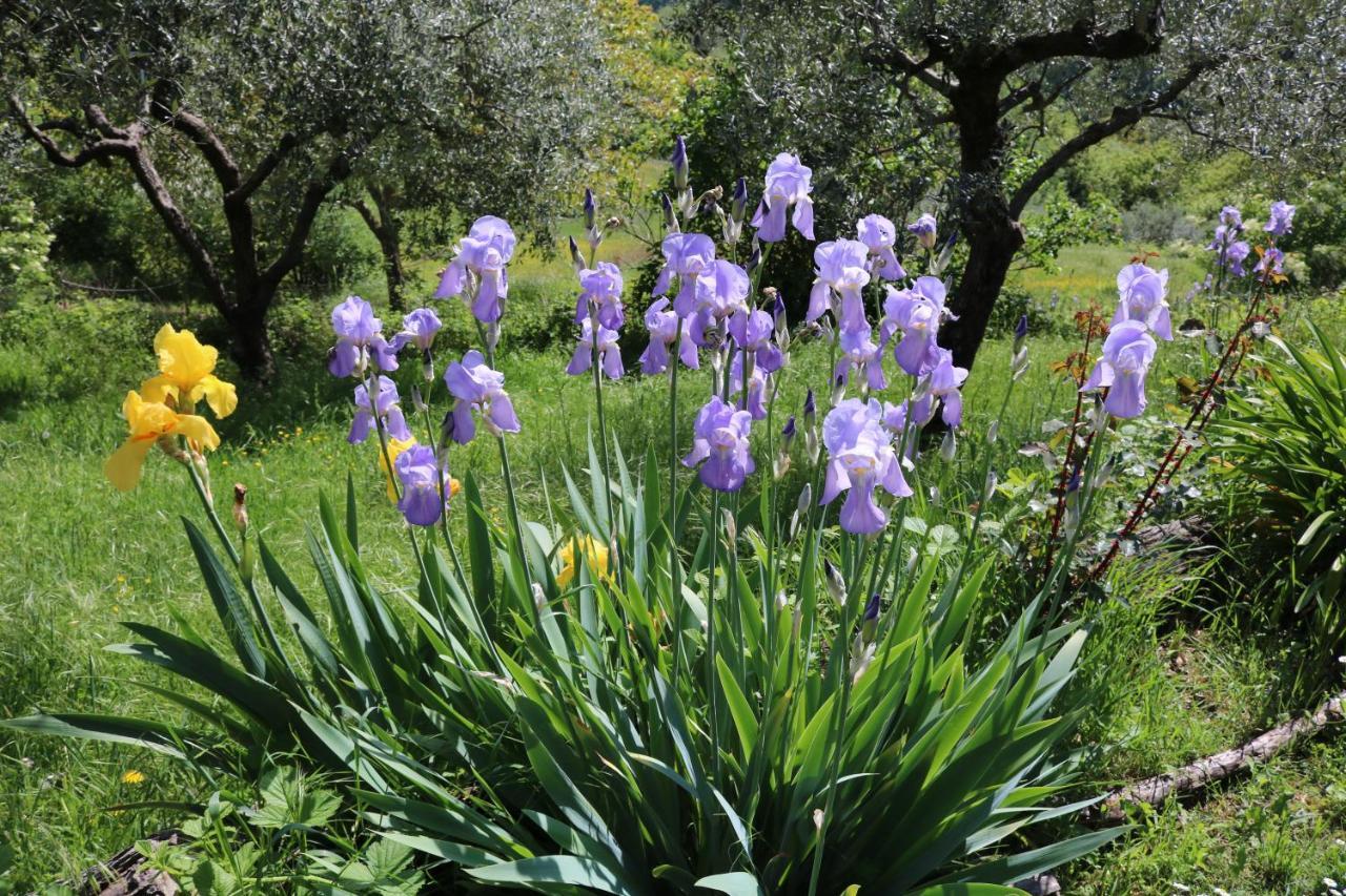Bed&Breakfast Casa Lisetta Valtopina Esterno foto