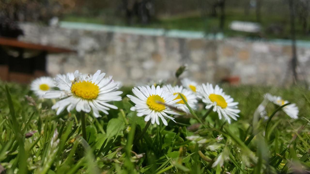 Bed&Breakfast Casa Lisetta Valtopina Esterno foto