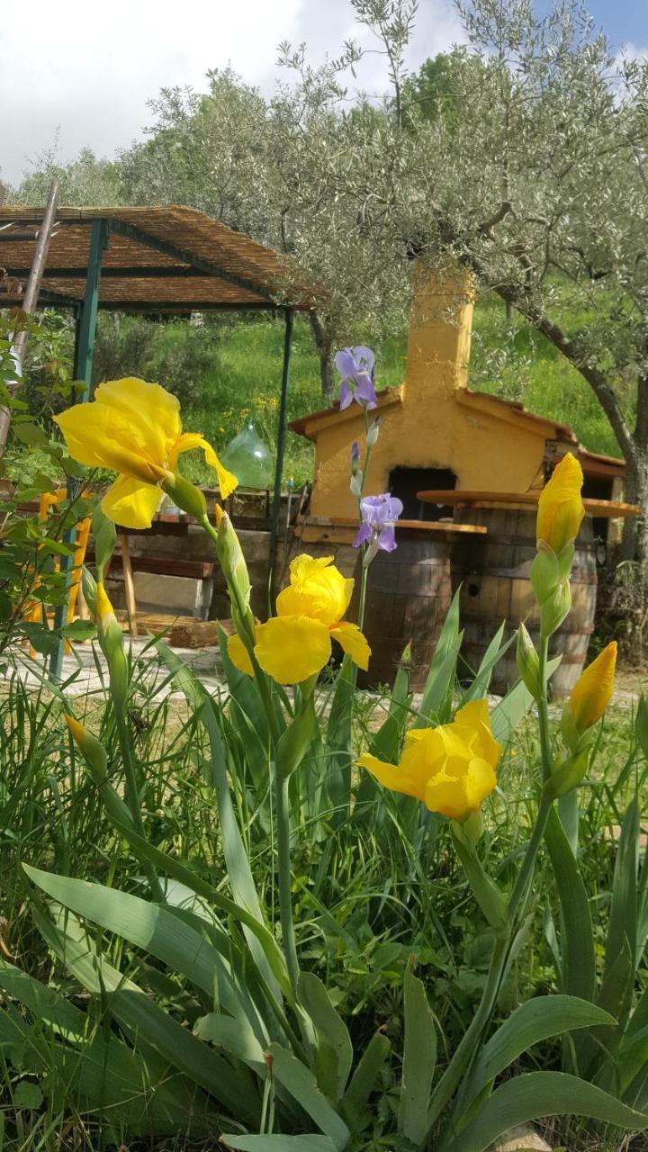 Bed&Breakfast Casa Lisetta Valtopina Esterno foto