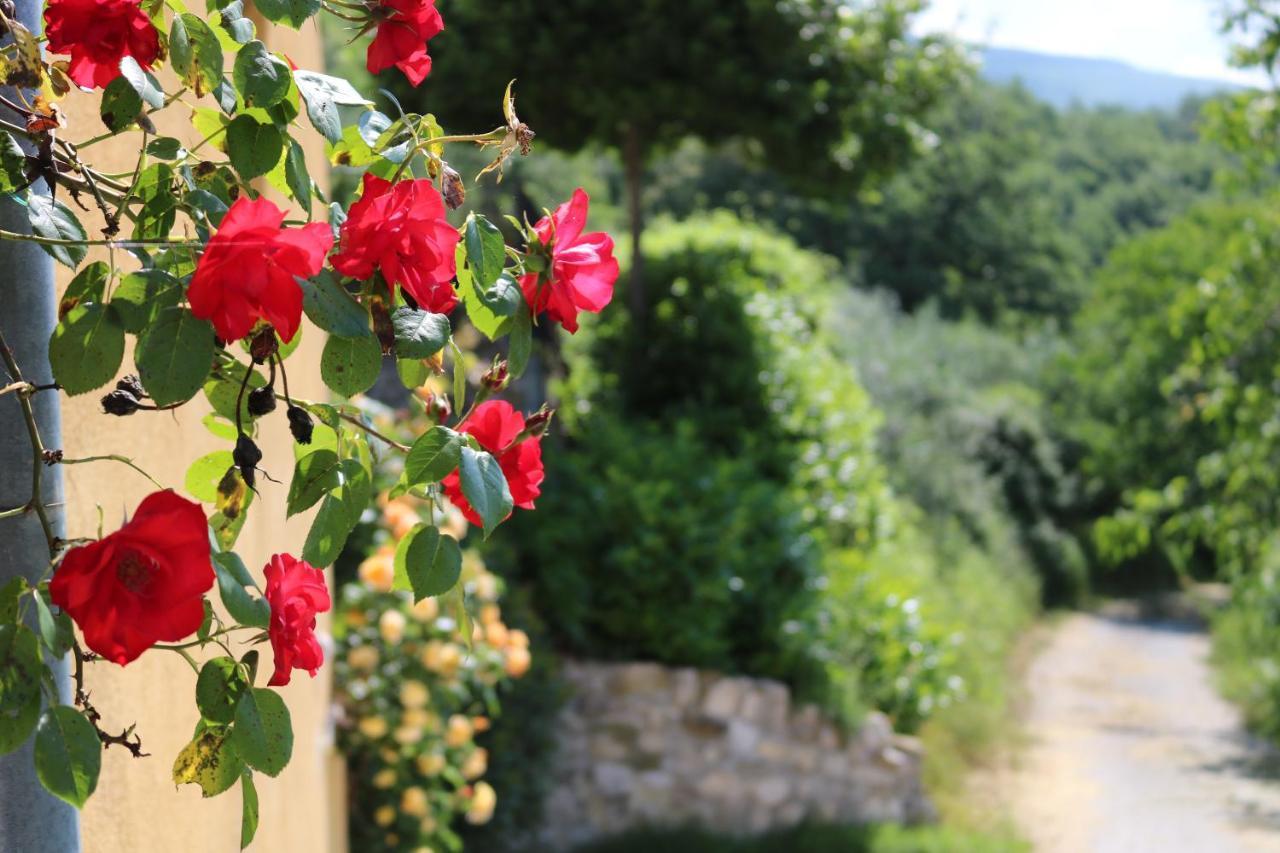 Bed&Breakfast Casa Lisetta Valtopina Esterno foto