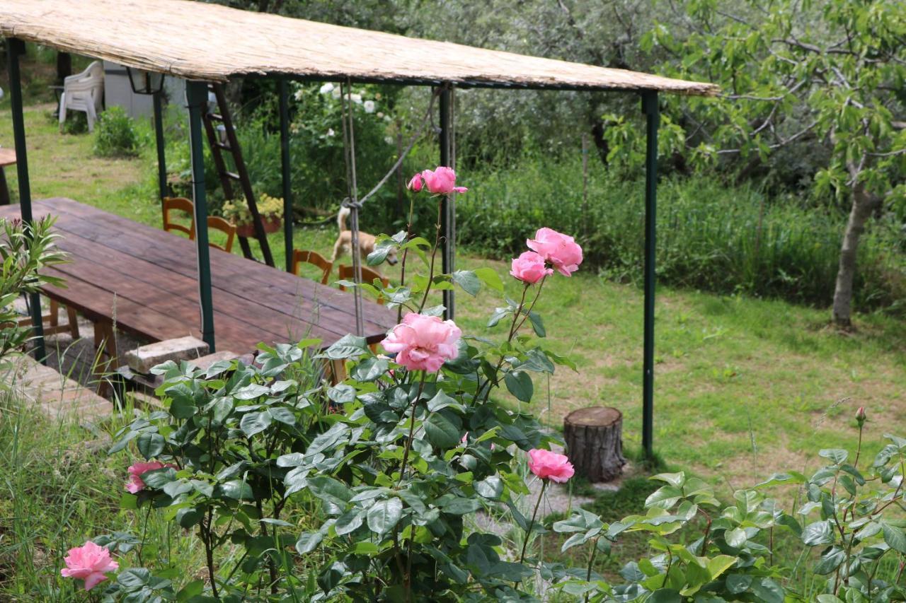 Bed&Breakfast Casa Lisetta Valtopina Esterno foto